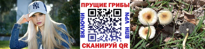 Галлюциногенные грибы мухоморы  ссылка на мегу как зайти  Россошь 